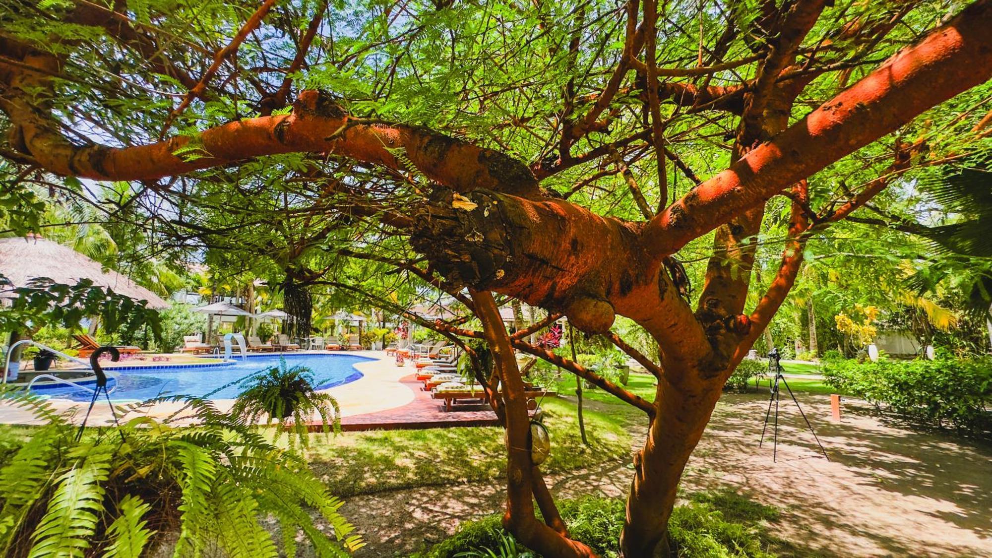 Casa Acayu Hotel Sao Miguel dos Milagres Ngoại thất bức ảnh